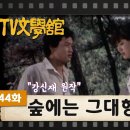 [TV문학관] 44화 숲에는 그대 향기 | Your scent in the forest (1982.06.05) 이미지