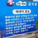 미가매생이굴국밥