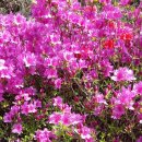 박달재휴양림 이미지