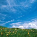 푸른하늘 이미지