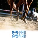 지케이산업 이미지