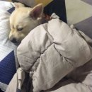 도원공원 이미지