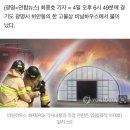 광명시 고물상 비닐하우스서 불…진화 중 이미지