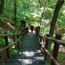 가리산막국수