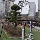 건우조경