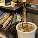 카포스자동차병원 이미지