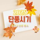 사주로 보는 나의 성격심리 이미지