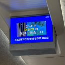 부산광역시 중구청 | 대전 당일치기 뚜벅이 여행코스 주말 성심당/맛집/카페/핫플/경비