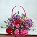 카네이션(감사의 꽃선물) - 경산꽃집 경산꽃배달 사동그린꽃 이미지