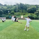 경희대박사 참태권도장 이미지