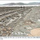 남국 이미지