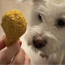 온새네 간식점 이미지