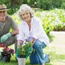 우지농장 이미지