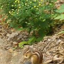 지산불교용품 이미지