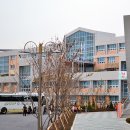 경기도 수원시 팔달구 월드컵로381번길 이미지