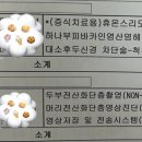 WR(부산광역시 부산진구)-[전포대로]-하-14 | [이달의 일기] 2025년 10월. 우연히 갑자기 행복해지자(feat. 첫 퇴사)
