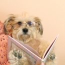 한성칼국수 이미지