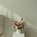 나성동_새뜸1404동앞 | 세종꽃집 ‘꺄트르 세종 플레르’ 꽃박스 후기