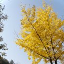 조욱 선생묘 이미지