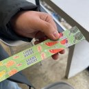 애니카랜드 동대구점 | 대구 근교 드라이브 가족 나들이 아쿠아리움 카페 칠곡 러키더키 패밀리랜드