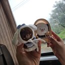 The 가까운 PC방 | DAY6 10th Anniversary Tour &lt;The DECADE&gt; 고양콘서트 후기(20250831, DAY 2)