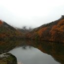 청송 이미지