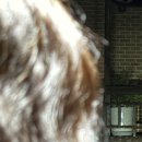 종로-신영-종로-영-343 | 2025년 10월 기록