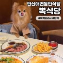 쉐프밥버거 번동점 | [뽁식당 고잔점] 안산애견동반식당 흑백요리사출연쉐프 맛집