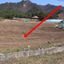 주공1번지공인중개사사무소 이미지