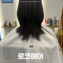 로코헤어 - 동래구 사직북로28번길 42 | 안산미용실 로코헤어 볼륨매직 잘하는곳