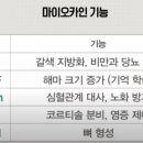 VAWE GYM 네이버블로그