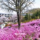 산울림청소년센터-2 이미지