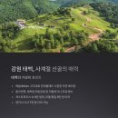 철암모텔 이미지