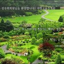 신평2동-6 이미지