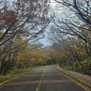 한라목욕탕 | [제주 여행] 한라산 영실코스탐방 주차장 + 한라산 국립공원 주차비 인상예정 정보/ 예래헬스사우나