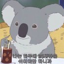 금정역 8번출구 횡단보도 | 차홍룸 출신,아눔헤어 문서하 원장 허쉬컷 커트 후기 !!강남역-신논현역 미용실 추천!!