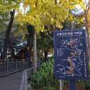 사라락