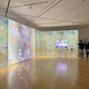 펑키트래블 이미지