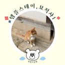 11650-1-10-617 | 남양주 묘적사 템플스테이 후기, 고양이와 함께하는 휴식형 1