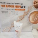 세븐일레븐반월당클래시아점 | 365mc팽팽크림후기