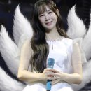 구역획정 이미지