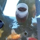 호텔야자 담양점(신관) 이미지