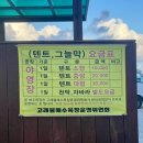 고래불해수욕장(영리지구) 야영장 이미지
