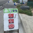 왕솔밭칼국수