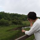 투애월민박 이미지