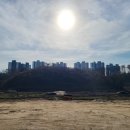 서진종합건축사무소