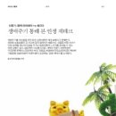 (주)플랜티엠 이미지