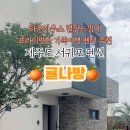 귤나방 이미지