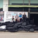 크로스핏 테디짐 동탄 이미지