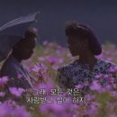 THE 퍼플 네이버블로그